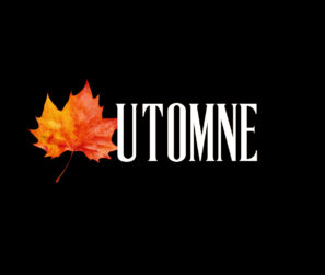 logo 2copie