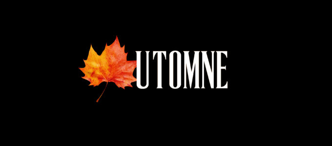 logo 2copie